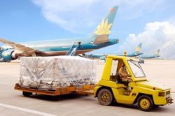 NCT tạm ứng cổ tức 40%