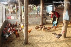 Cán bộ Hội 'Giỏi việc nước, đảm việc nhà'