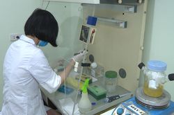 Chế tạo thành công bộ kit phát hiện virus corona