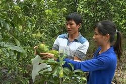 Nỗ lực thoát nghèo