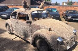 Volkswagen Beetle 1978 'lông lá' chào bán chỉ 140 triệu đồng