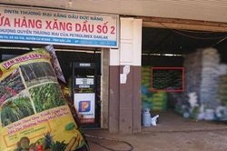 Phân bón giả: Day dứt những câu hỏi