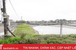 Hạ tầng lưới điện vùng nuôi tôm Hà Voọc xuống cấp, người dân 'ngại' đầu tư sản xuất!