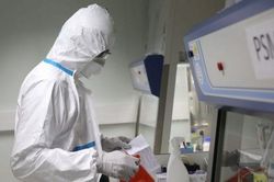 Dịch COVID-19: Maroc phát hiện ca nhiễm bệnh đầu tiên