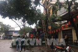 Mưa dông kèm sét khiến 1 người chết và 10 người bị thương ở Hà Giang