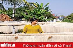 Bài 4: Huyện Nông Cống với các giải pháp phát triển kinh tế - xã hội