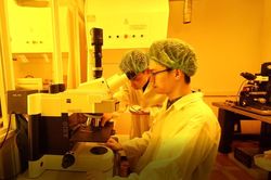 Nông lâm nghiệp của đại học Việt Nam chiếm vị trí cao nhất trong nhóm ngành được QS xếp hạng