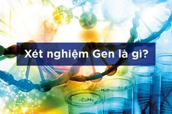 Gene = gen: Không theo quy luật tiếng Việt