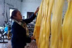Tháo gỡ khó khăn cho sản xuất tơ tằm