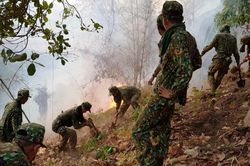Cháy 6ha rừng ở núi Cấm