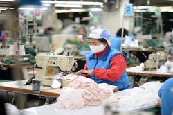 Dịch Covid-19 và quy định hạn chế tác hại của rượu bia chưa ảnh hưởng đến số thu ngân sách
