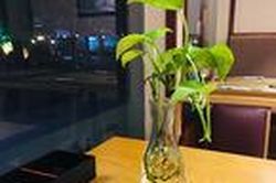 Tổng thu nhập có 20 triệu mà vợ cứ đòi mua nhà Sài Gòn