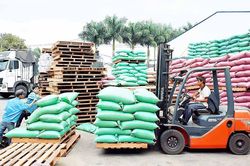 Gia Lai quyết liệt phòng-chống dịch bệnh đi đôi với phát triển kinh tế-xã hội