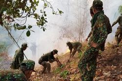 Hơn 600 người chữa cháy rừng ở khu vực thuộc núi Cấm
