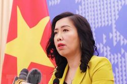 Việt Nam triển khai nhiều biện pháp bảo hộ công dân bị ảnh hưởng vì dịch Covid-19