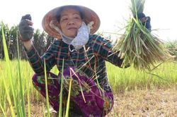 Bến Tre: Hạn mặn bủa vây, người dân thiếu nước ngọt