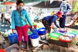 Ngôi chợ ô nhiễm trầm trọng tại Phú Yên