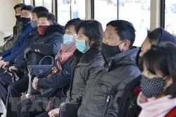 Triều Tiên hoãn chuyến bay đặc biệt đưa người nước ngoài về nước