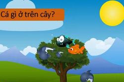 'Thử tài' suy luận với câu đố mẹo