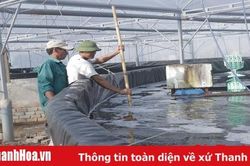 Phát triển HTX nuôi trồng thủy sản - còn nhiều khó khăn