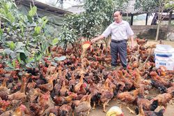 Phú Lạc thực hiện quy chế dân chủ cơ sở trong xây dựng nông thôn mới