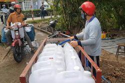 Hạn mặn khốc liệt, nhà vườn Tiền Giang chắt chiu từng can nước cứu cây