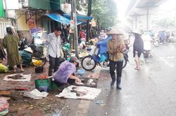 Chợ tạm không phép ngang nhiên hoạt động