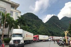 Tồn hơn 880 xe hàng ở các cửa khẩu