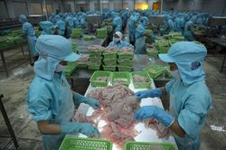 Quyết tâm gỡ thẻ vàng IUU