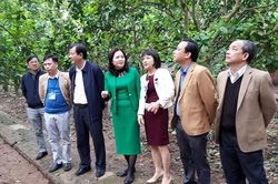Ứng Hòa phấn đấu 100% số xã đạt chuẩn nông thôn mới trong năm 2020