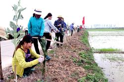 Làng ba sạch và Ðường hoa phụ nữ ở Bắc Ninh