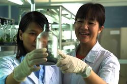 Đem lại thật nhiều lợi ích cho cộng đồng