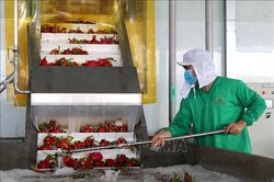 Giúp doanh nghiệp lấy lại đà tăng trưởng
