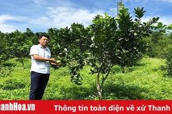 Người bí thư chi bộ gương mẫu