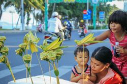 Cánh cào cào lá dừa tuổi thơ