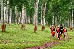 Phiêng Bung - Đà Lạt thu nhỏ nơi đại ngàn