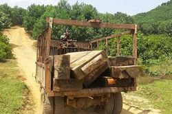Trục vớt khối lượng lớn gỗ bị dìm dưới sông