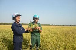 Nữ 'công bộc' của dân ở ấp biên giới