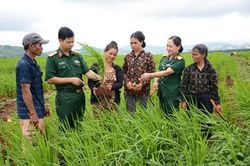 Ra đời trong chiến tranh, vững mạnh phát triển trong hòa bình