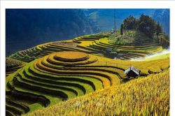 Phát triển du lịch cộng đồng ở Mù Cang Chải