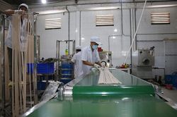 Để sản phẩm công nghiệp nông thôn tiêu biểu vươn xa