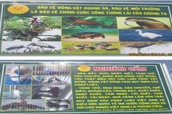 Nam Định tăng cường bảo vệ động, thực vật hoang dã