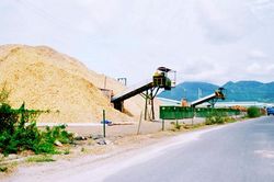 Xuất khẩu dăm gỗ bắt đầu khó khăn