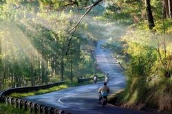 Hẹn Đà Lạt ngày nắng