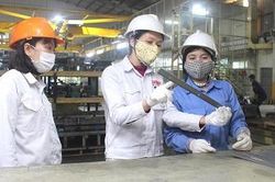 Tròn cả hai vai