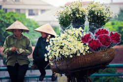 Chuyện ở phố