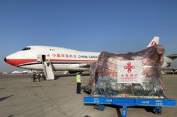 TQ giúp Pakistan tiêu diệt 'đội quân' châu chấu