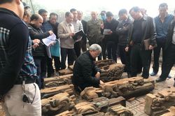 Nỗ lực cứu vãn di sản ở đình Đồng Kỵ