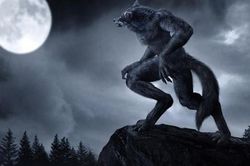 Bí ẩn ngàn năm chuyện người hóa sói lúc trăng tròn