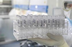 Israel phát triển vaccine phòng chống dịch COVID-19